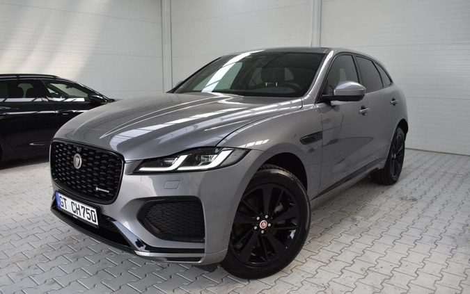 Jaguar F-Pace cena 204900 przebieg: 62000, rok produkcji 2020 z Ryn małe 781